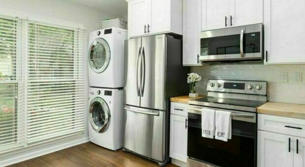 Bonus elettrodomestici, al via il click day: quando e come fare domanda per ottenere lo sconto. Quanto si risparmia davvero