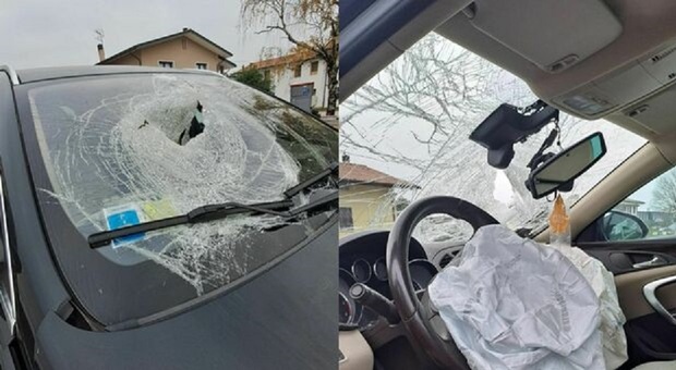 Cervo sbuca sulla strada e sfonda il parabrezza, miracolato il conducente: ?«Ora l?auto è da buttare»