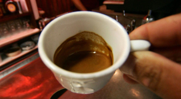 Fipe: «Caffè meno caro d'Europa nei bar della Marca», nonostante il forte aumento del costo della materia prima