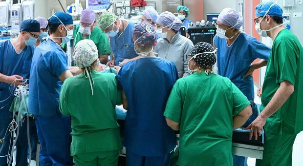 Quarant'anni fa il primo trapianto di cuore, nel 2024 il record: sono stati 413. L'Italia un'eccellenza mondiale