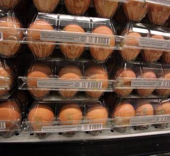 Uova conservate in frigorifero, i consigli dagli Usa e la 'rivelazione' dal Regno Unito