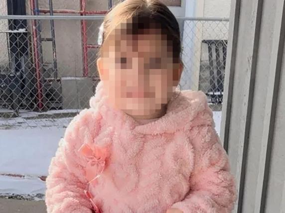 Cinque bambini bloccati dagli agenti dell'Ice negli Stati Uniti: Chloe di 2 anni con il padre e Liam di 5 che funge da esca