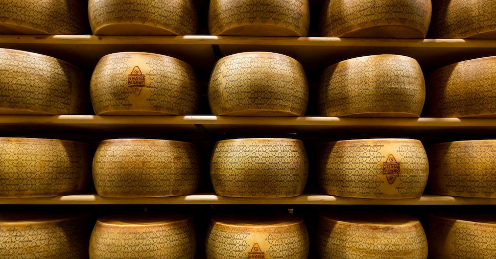 Intesa tra Grana Padano e Mps, stanziati 500 milioni per finanziare i caseifici