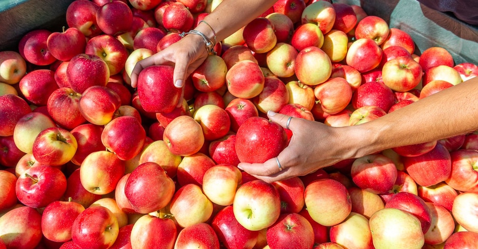 Melinda, previsioni finanziarie ottimistiche in un contesto difficile