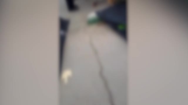 Un padre in Iran disperato cerca il figlio tra le vittime e chiama Sepehr