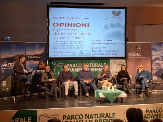 Orsi e lupi, lo studio del Parco Adamello-Brenta sulla coesistenza con l'uomo: le opinioni estreme sono rare