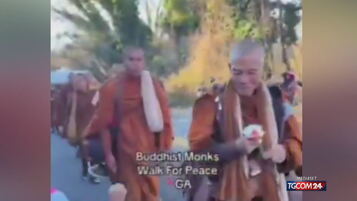 Un cane vagabondo accompagna 19 monaci buddisti in una processione per la pace