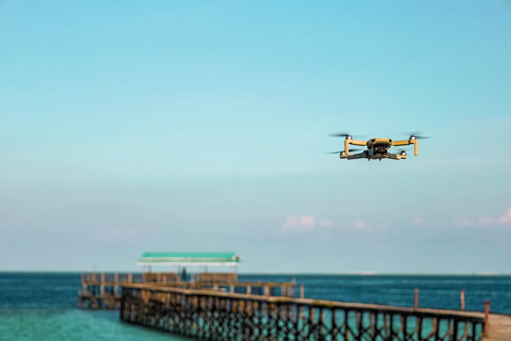 Una boa protegge i droni e l'ecosistema